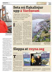 Síða 21