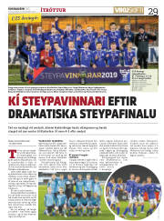 Síða 29