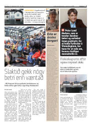 Síða 3