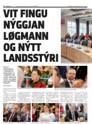 Síða 8