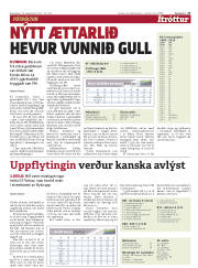 Síða 17