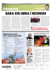 Síða 2