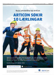 Síða 3