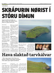 Síða 4