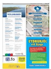 Síða 21