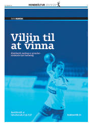 Síða 27