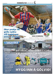 Síða 29