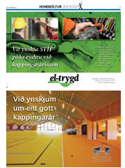Síða 31