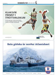 Síða 43