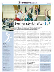 Síða 44