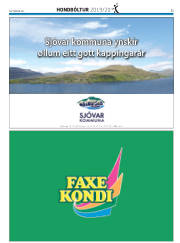 Síða 45