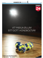 Síða 53