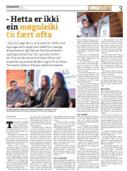 Síða 3
