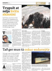 Síða 5