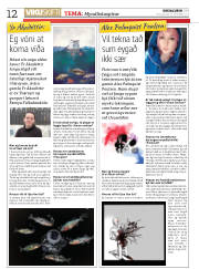 Síða 12