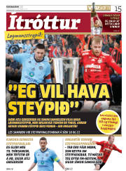 Síða 15