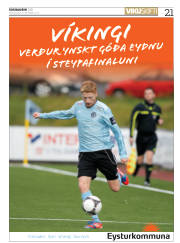 Síða 21