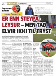 Síða 22
