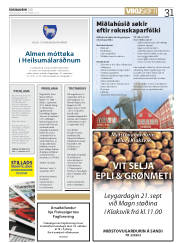 Síða 31