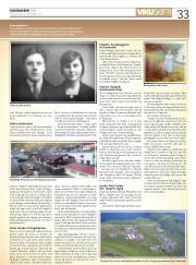 Síða 33
