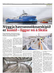Síða 3