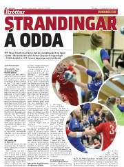 Síða 12