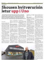 Síða 14