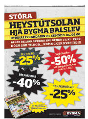 Síða 15