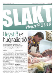 Síða 17