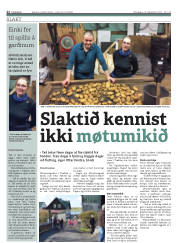 Síða 22