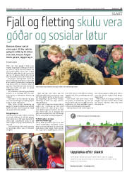 Síða 27
