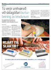 Síða 28