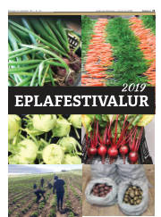 Síða 31