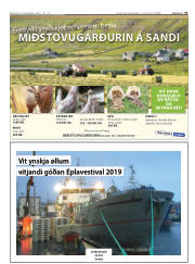 Síða 33