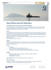 Síða 11