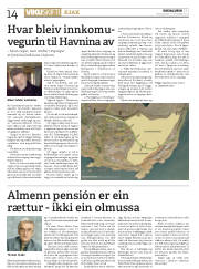 Síða 14