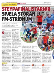 Síða 20