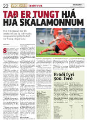 Síða 22