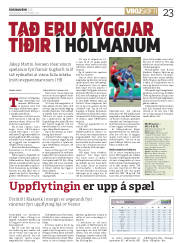 Síða 23