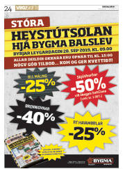 Síða 24