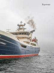 Síða 35