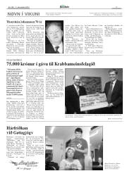 Síða 17