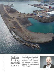 Síða 52