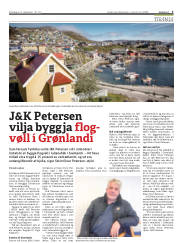 Síða 3
