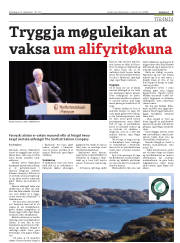 Síða 5