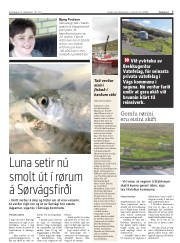 Síða 7
