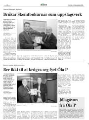 Síða 20