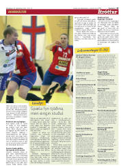 Síða 15