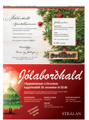 Síða 22