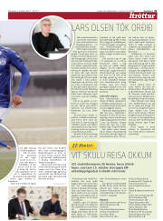 Síða 31